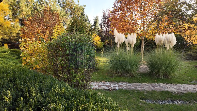 Snagov, vila individuala, curte amenajata, prosumator 8 kw