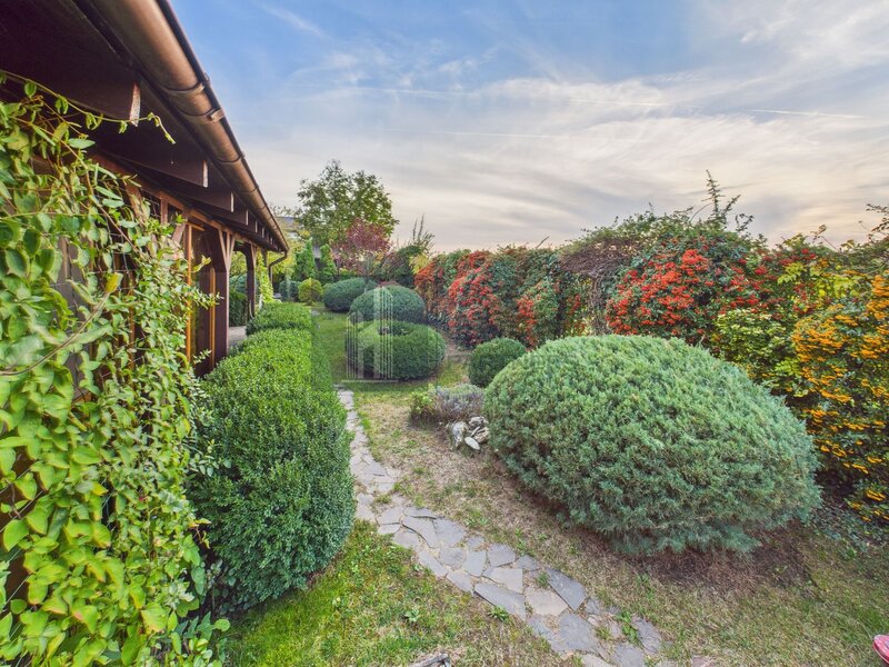 Snagov, vila individuala, curte amenajata, prosumator 8 kw