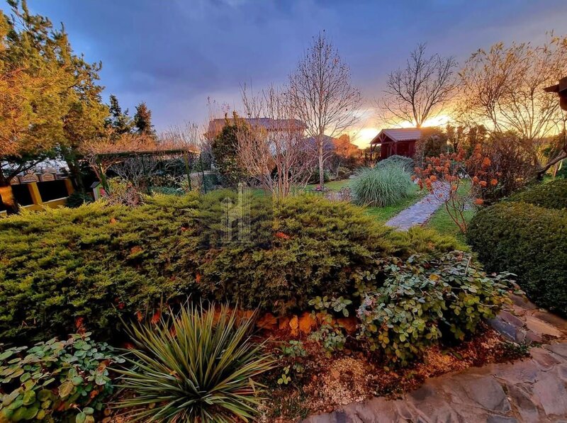 Snagov, vila individuala, curte amenajata, prosumator 8 kw